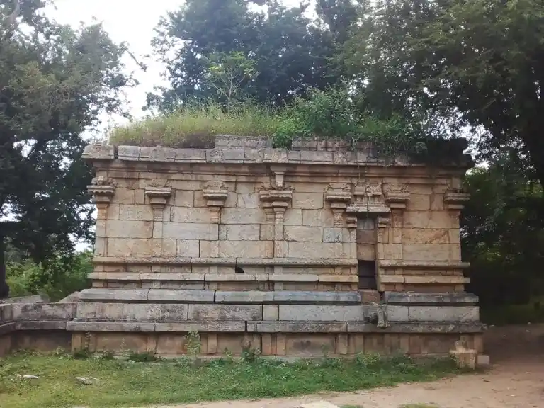 Arulmigu Varadharaja Perumal Temple, Keelathaniyam - 622002 அருள்மிகு வரதராஜப்பெருமாள் திருக்கோயில், Keelathaniyam - 622002, Pudukkottai - Ancient Temple Architecture and History Image 4