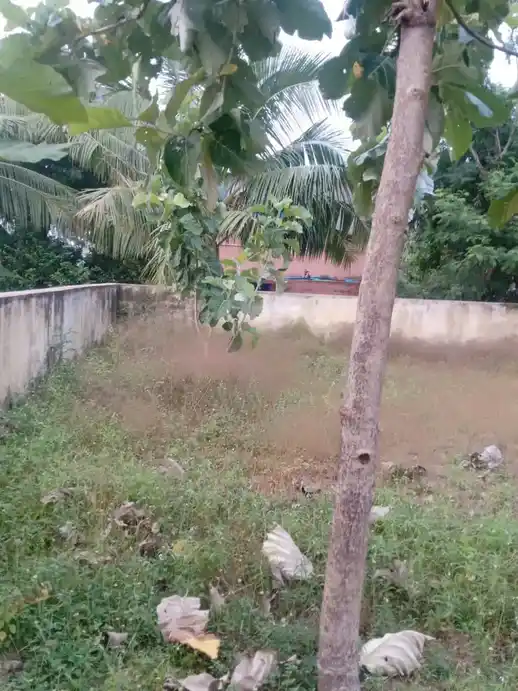 Arulmigu Varadharaja Perumal Temple, Melpaappampaadi - 604153 அருள்மிகு வரதராஜப்பெருமாள் திருக்கோயில், Melpaappampaadi - 604153, Viluppuram - Ancient Temple Architecture and History Image 4