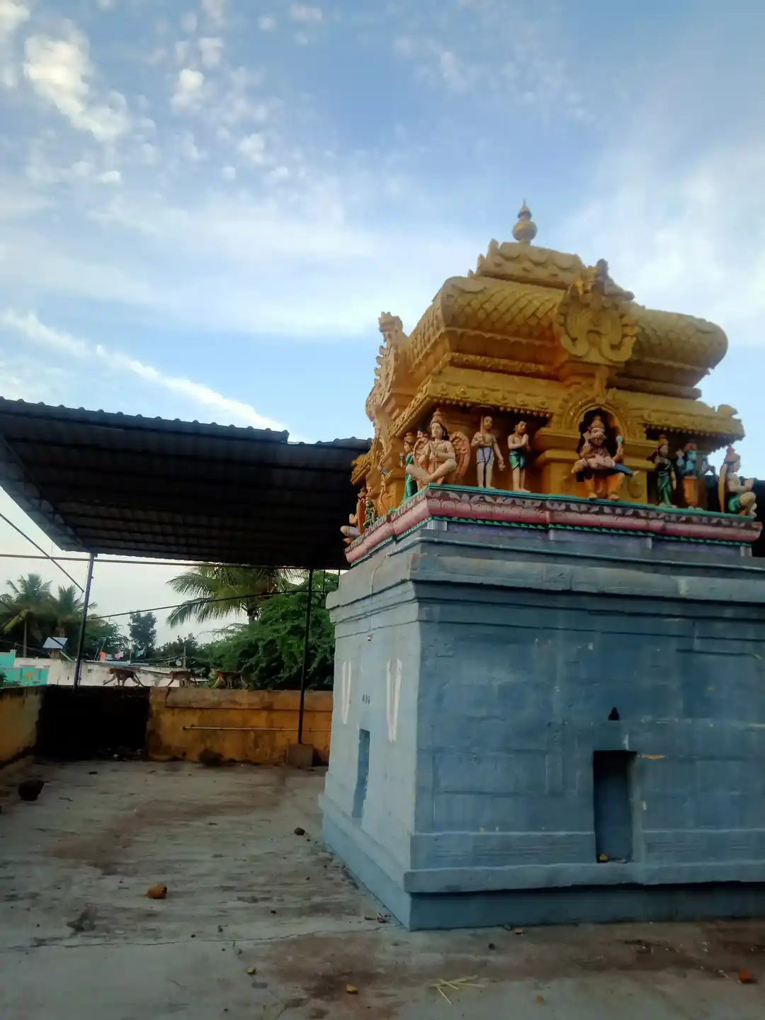 Arulmigu Varadharaja Perumal Temple, Pallagacheri - 606206 அருள்மிகு வரதராஜப்பெருமாள் திருக்கோயில், Pallagacheri - 606206, Kallakurichi - Ancient Temple Architecture and History Image 6