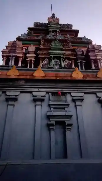 Arulmigu Varadharaja Perumal Temple, Paradhur - 608201 அருள்மிகு வரதராஜப் பெருமாள் திருக்கோயில், பரதூர் - 608201, Cuddalore - Ancient Temple Architecture and History Image 4