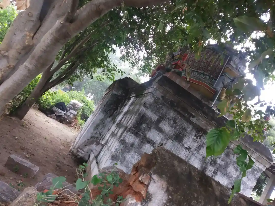 Arulmigu Varadharaja Perumal Temple, Paramanatham - 606205 அருள்மிகு வரதராஜபெருமாள் திருக்கோயில், Paramanatham - 606205, Kallakurichi - Ancient Temple Architecture and History Image 4