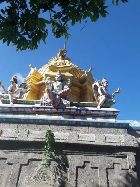 Arulmigu Varadharaja Perumal Temple, Pidagam - 605401