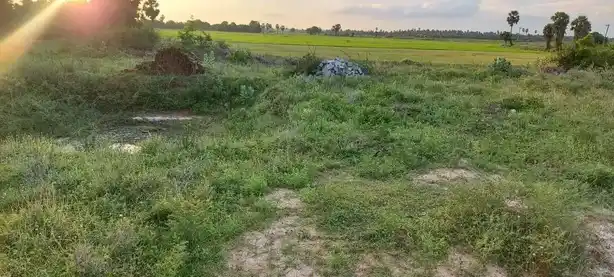 Arulmigu Varadharaja Perumal Temple, Thagattur - 614714 Arulmigu Varadharaja Perumal Temple, Thagattur - 614714, Nagapattinam - Ancient Temple Architecture and History Image 3