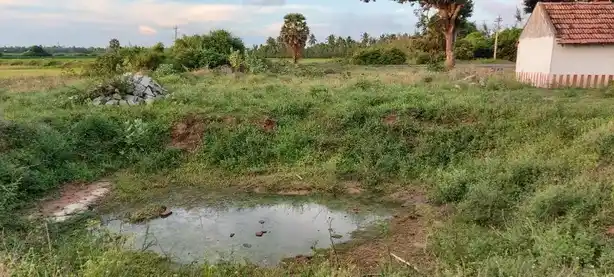 Arulmigu Varadharaja Perumal Temple, Thagattur - 614714 Arulmigu Varadharaja Perumal Temple, Thagattur - 614714, Nagapattinam - Ancient Temple Architecture and History Image 4