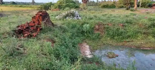 Arulmigu Varadharaja Perumal Temple, Thagattur - 614714 Arulmigu Varadharaja Perumal Temple, Thagattur - 614714, Nagapattinam - Ancient Temple Architecture and History Image 5