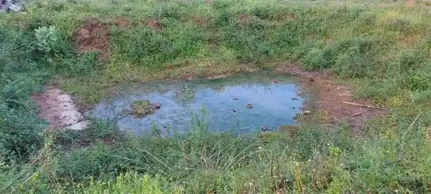 Arulmigu Varadharaja Perumal Temple, Thagattur - 614714 Arulmigu Varadharaja Perumal Temple, Thagattur - 614714, Nagapattinam - Ancient Temple Architecture and History Image 6