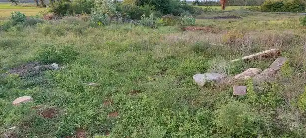 Arulmigu Varadharaja Perumal Temple, Thagattur - 614714 Arulmigu Varadharaja Perumal Temple, Thagattur - 614714, Nagapattinam - Ancient Temple Architecture and History Image 7