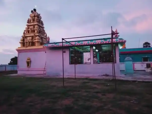 Arulmigu Varadharaja Perumal Temple, Thirumani - 604504 அருள்மிகு வரதராஜப்பெருமாள் திருக்கோயில், Thirumani - 604504, Tiruvannamalai - Ancient Temple Architecture and History Image 2