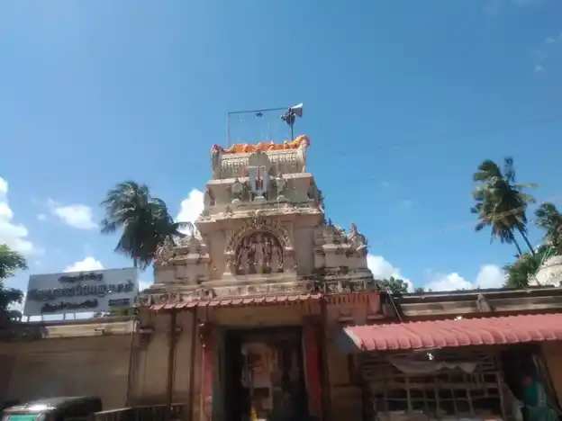 Arulmigu Varadharaja Perumal Temple, Thirupathiripuliyur, Cuddalore - 607002 அருள்மிகு வரதராஜப்பெருமாள் திருக்கோயில், திருப்பாதிரிப்புலியூர், கடலூர் - 607002, Cuddalore - Ancient Temple Architecture and History Image 5