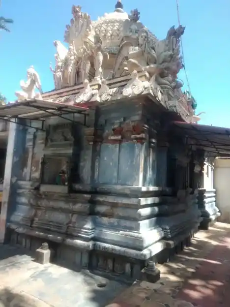 Arulmigu Varadharaja Perumal Temple, Thirupathiripuliyur, Cuddalore - 607002 அருள்மிகு வரதராஜப்பெருமாள் திருக்கோயில், திருப்பாதிரிப்புலியூர், கடலூர் - 607002, Cuddalore - Ancient Temple Architecture and History Image 8