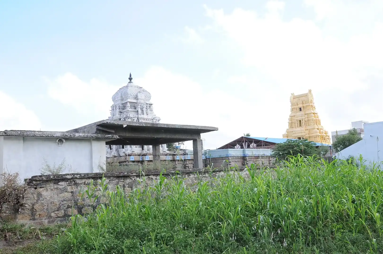 Arulmigu Varadharaja Perumal Temple, Thirupattur - 621105 Arulmigu Varadharaja Perumal Temple, Thirupattur - 621105, Thiruchirappalli - Ancient Temple Architecture and History Image 3