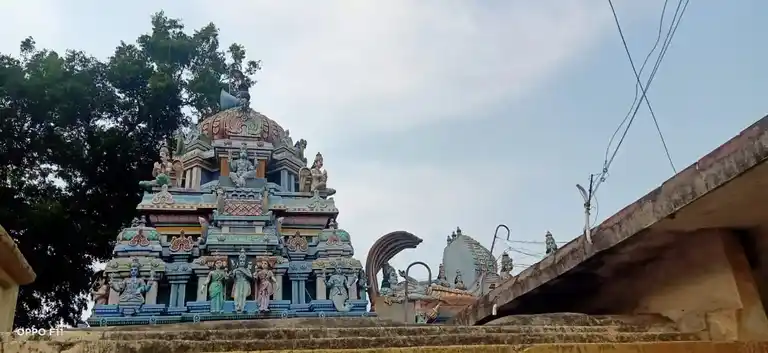 Arulmigu Varadharaja Perumal Temple, Vattathur - 608702 அருள்மிகு வரதராஜப்பெருமாள் திருக்கோயில், Vattathur - 608702, Cuddalore - Ancient Temple Architecture and History Image 4