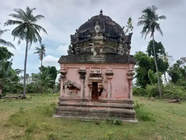 Arulmigu Varadharaja Perumal Temple, Voimedu, Marudhur South - 614714 அருள்மிகு வரதராஜ பெருமாள் கோயில், வாய்மேடு, மருதூர் தெற்கு - 614714, Nagapattinam - Ancient Temple Architecture and History Image 3