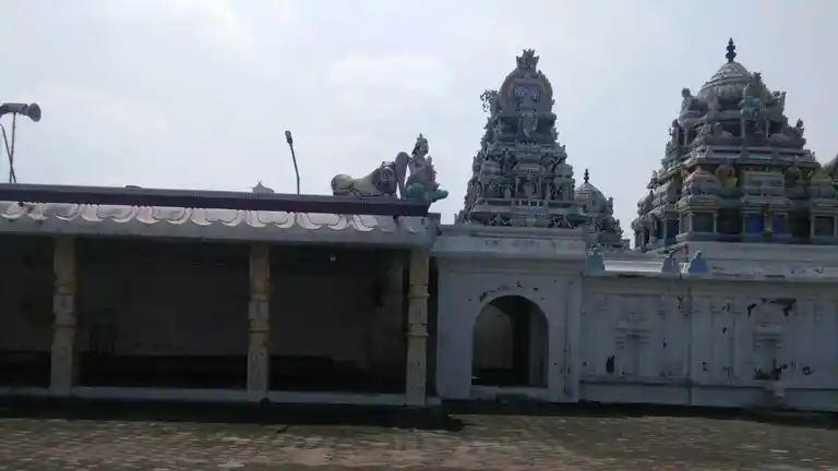 Arulmigu Varadharaja Perumal Temple, Walajah - 632513 அருள்மிகு வரதராஜப்பெருமாள் திருக்கோயில், வாலாஜா நகரம் - 632513, Ranipet - Ancient Temple Architecture and History Image 2