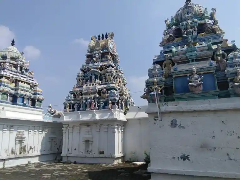 Arulmigu Varadharaja Perumal Temple, Walajah - 632513 அருள்மிகு வரதராஜப்பெருமாள் திருக்கோயில், வாலாஜா நகரம் - 632513, Ranipet - Ancient Temple Architecture and History Image 3