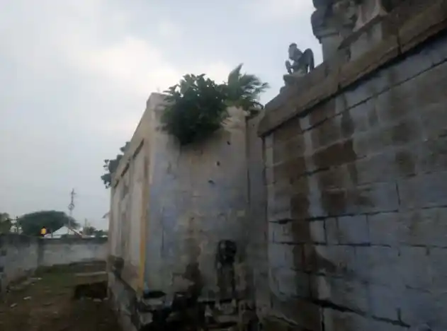 Arulmigu Varadharajaperumal Temple, Appananallur - 621208 Arulmigu Varadharajaperumal Temple, Appananallur - 621208, Thiruchirappalli - Ancient Temple Architecture and History Image 8