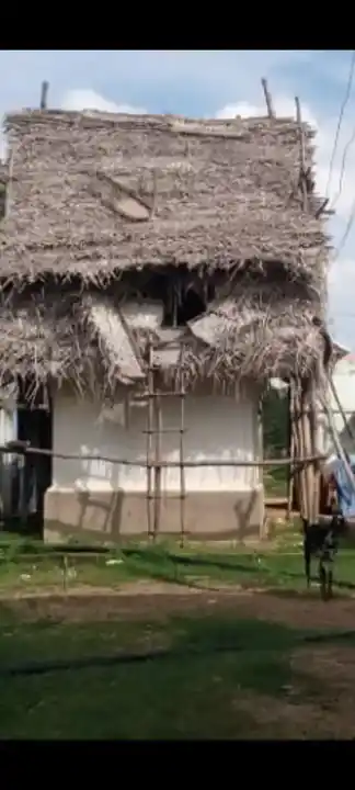 Arulmigu Varadharajaperumal Temple, Ayyappannayakanpettai - 612903 அருள்மிகு வரதராஜப் பெருமாள் திருக்கோயில், அய்யப்பநாயக்கன்பேட்டை - 612903, Ariyalur - Ancient Temple Architecture and History Image 5