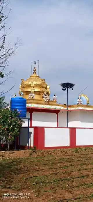 Arulmigu Varadharajaperumal Temple, Ellampalayam - 638501 அருள்மிகு வரதராஜப்பெருமாள் திருக்கோயில், Ellampalayam - 638501, Erode - Ancient Temple Architecture and History Image 3