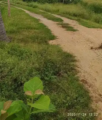Arulmigu Varadharajaperumal Temple, Enungoor - 639110 அருள்மிகு வரதராஜப்பெருமாள் திருக்கோயில், Enungoor - 639110, Karur - Ancient Temple Architecture and History Image 3