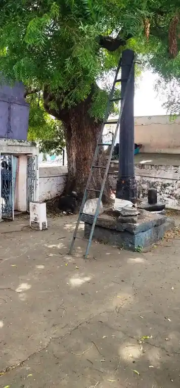 Arulmigu Varadharajaperumal Temple, Kaaliyamedu - 606304 அருள்மிகு வரதராஜ பெருமாள் திருக்கோயில், காளியாமேடு - 606304, Cuddalore - Ancient Temple Architecture and History Image 2