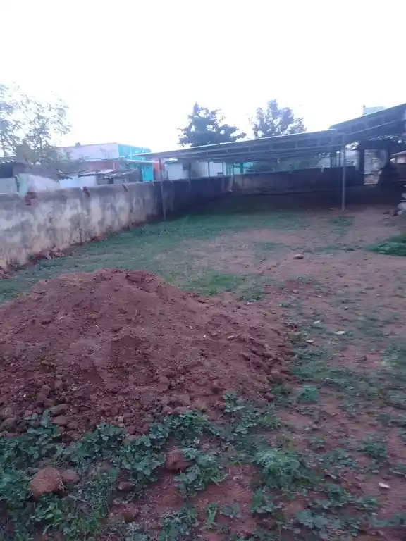 Arulmigu Varadharajaperumal Temple, Kaduvanoor - 605801 அருள்மிகு வரதராஜப்பெருமாள் திருக்கோயில், கடுவனூர் - 605801, Kallakurichi - Ancient Temple Architecture and History Image 3