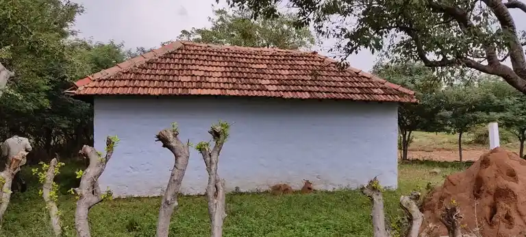 Arulmigu Varadharajaperumal Temple, Kethalrevu - 644665 அருள்மிகு வரதராசபெருமாள் திருக்கோயில், Kethalrevu - 644665, Tiruppur - Ancient Temple Architecture and History Image 3