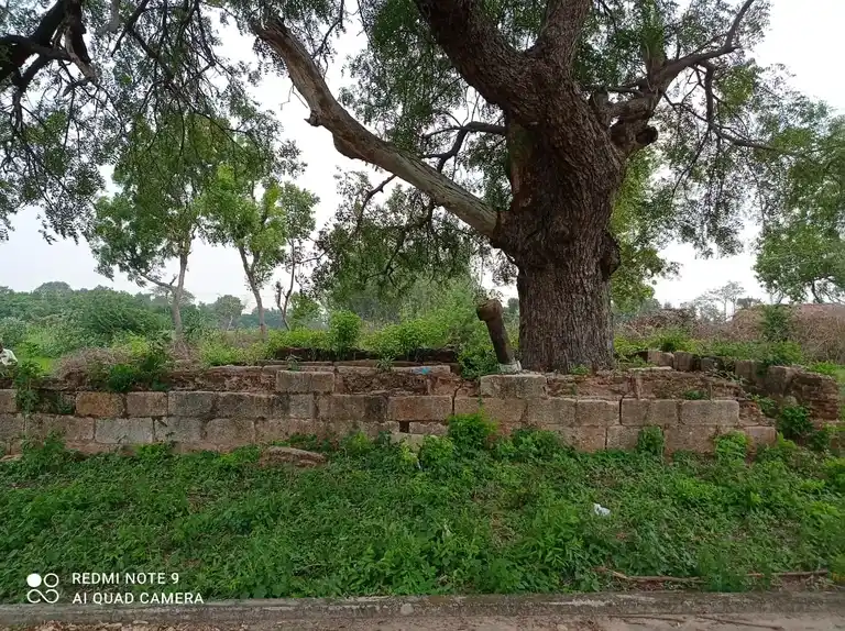 Arulmigu Varadharajaperumal Temple, Kovilesanai - 621851 Temple