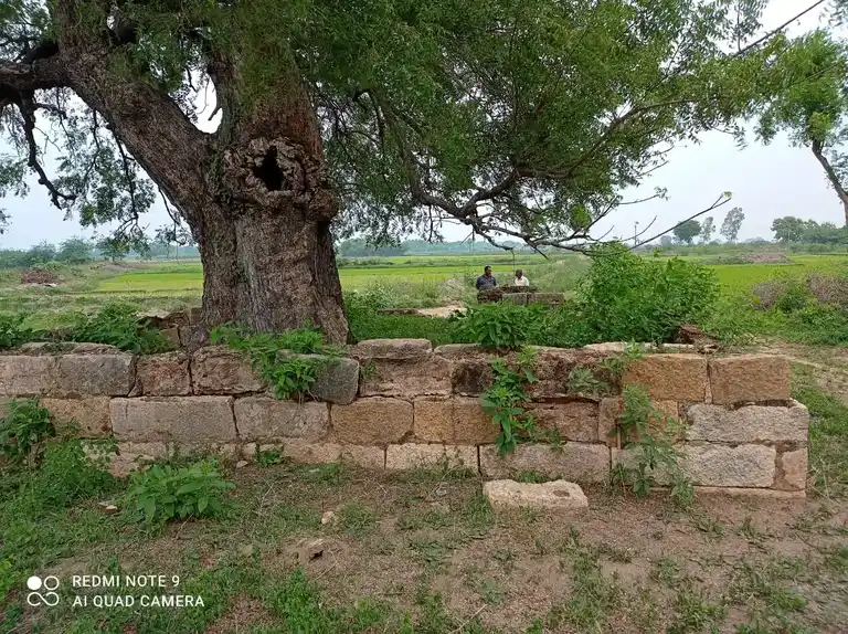 Arulmigu Varadharajaperumal Temple, Kovilesanai - 621851 அருள்மிகு வரதராஜப்பெருமாள் திருக்கோயில், கோவில்எசனை - 621851, Ariyalur - Ancient Temple Architecture and History Image 3