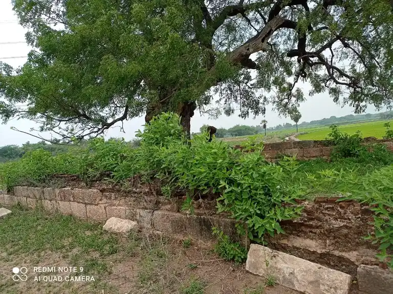 Arulmigu Varadharajaperumal Temple, Kovilesanai - 621851 அருள்மிகு வரதராஜப்பெருமாள் திருக்கோயில், கோவில்எசனை - 621851, Ariyalur - Ancient Temple Architecture and History Image 4