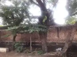 Arulmigu Varadharajaperumal Temple, Krishnapuram - 621008 Arulmigu varadharajaperumal Temple, Krishnapuram - 621008, Thiruchirappalli - Ancient Temple Architecture and History Image 4