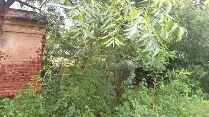 Arulmigu Varadharajaperumal Temple, Mavathoor - 621311 அருள்மிகு வரதராஜப்பெருமாள் திருக்கோயில், Mavathoor - 621311, Karur - Ancient Temple Architecture and History Image 3