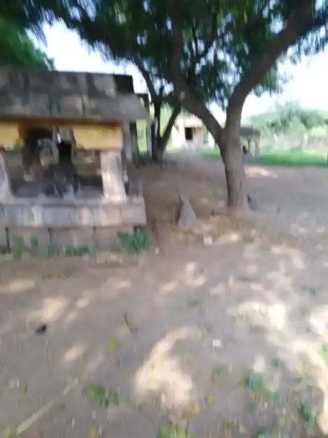 Arulmigu Varadharajaperumal Temple, N.Naraiyur - 606304 அருள்மிகு வரதராஜப்பெருமாள் திருக்கோயில், N.Naraiyur - 606304, Cuddalore - Ancient Temple Architecture and History Image 4