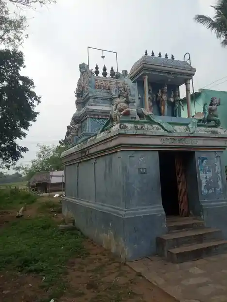 Arulmigu Varadharajaperumal Temple, Pattur - 606105 அருள்மிகு வராதராஜப்பெருமாள் திருக்கோயில், Pattur - 606105, Cuddalore - Ancient Temple Architecture and History Image 4