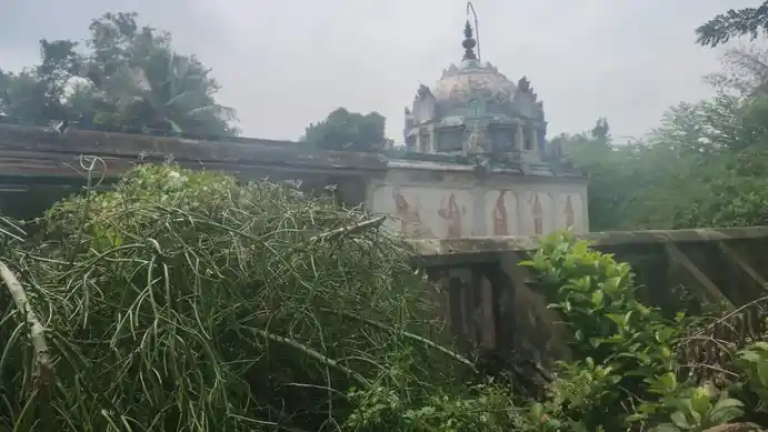 Arulmigu Varadharajaperumal Temple, Puduppattur - 610103 அருள்மிகு வரதராஜபெருமாள் திருக்கோயில், Puduppattur - 610103, Thiruvarur - Ancient Temple Architecture and History Image 3