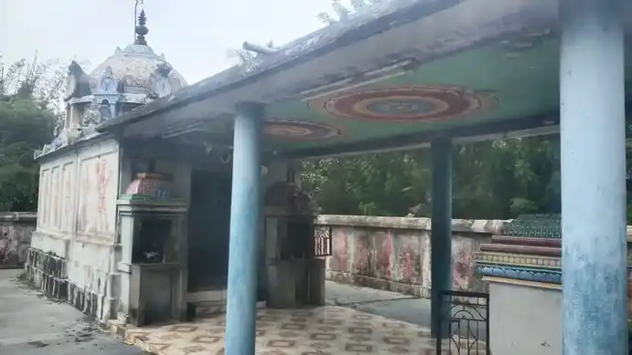 Arulmigu Varadharajaperumal Temple, Puduppattur - 610103 அருள்மிகு வரதராஜபெருமாள் திருக்கோயில், Puduppattur - 610103, Thiruvarur - Ancient Temple Architecture and History Image 4