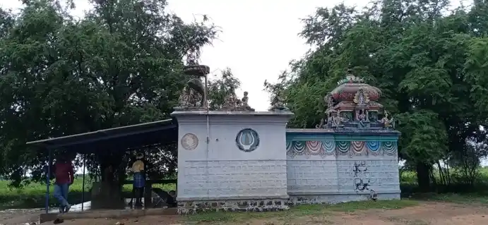 Arulmigu Varadharajaperumal Temple, Pungankuli - 621701 அருள்மிகு வரதராஜப்பெருமாள் திருக்கோயில், Pungankuli - 621701, Ariyalur - Ancient Temple Architecture and History Image 2