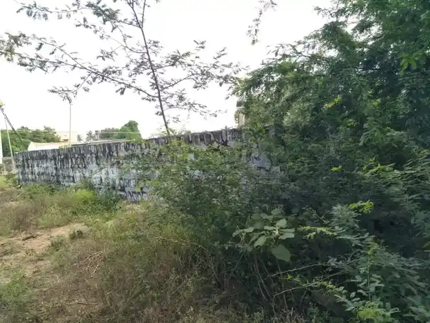 Arulmigu Varadharajaperumal Temple, Rayarpalayam, Ganagavalli - 636105 அருள்மிகு வரதராஜ பெருமாள் திருக்கோயில், Rayarpalayam, Ganagavalli - 636105, Salem - Ancient Temple Architecture and History Image 3