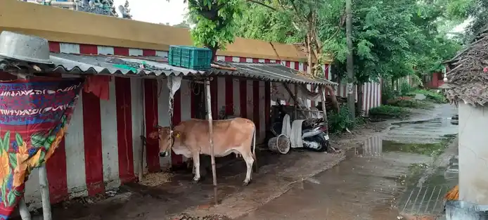 Arulmigu Varadharajaperumal Temple, Thappalampuliyur 27-1 - 610106 அருள்மிகு வரதராஜபெருமாள் திருக்கோயில், Thappalampuliyur 27-1, Thappalampuliyur 27-1 - 610106, Thiruvarur - Ancient Temple Architecture and History Image 5