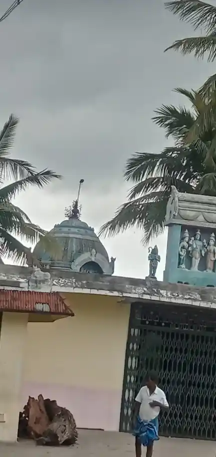 Arulmigu Varadharajaperumal Temple, Thiranipalayam - 621711 Arulmigu Varadharajaperumal Temple, Thiranipalayam - 621711, Thiruchirappalli - Ancient Temple Architecture and History Image 3