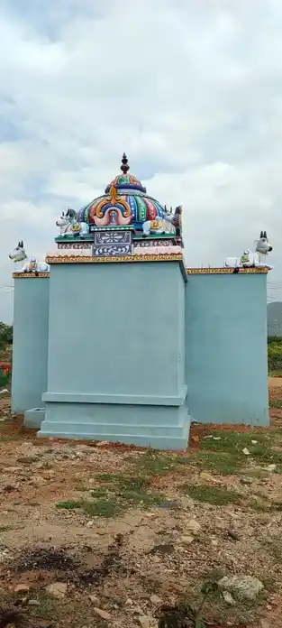 Arulmigu Varadharajaperumal Temple, Thondamanginam - 621313 அருள்மிகு வரதராஜப்பெருமாள் திருக்கோயில், Thondamanginam - 621313, Karur - Ancient Temple Architecture and History Image 2