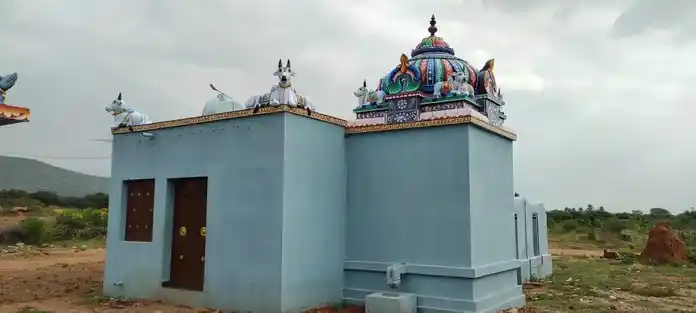 Arulmigu Varadharajaperumal Temple, Thondamanginam - 621313 அருள்மிகு வரதராஜப்பெருமாள் திருக்கோயில், Thondamanginam - 621313, Karur - Ancient Temple Architecture and History Image 3