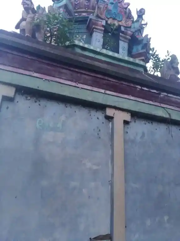 Arulmigu Varadharajaperumal Temple, Veiyalur - 608305 அருள்மிகு வரதராஜப் பெருமாள் திருக்கோயில், வெய்யலூர் - 608305, Cuddalore - Ancient Temple Architecture and History Image 2