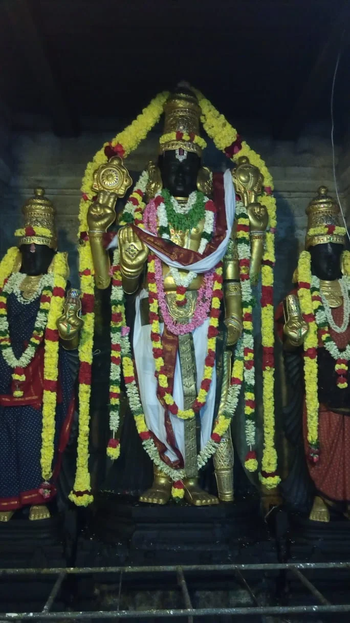அருள்மிகு வரதராஜபெருமாள் திருக்கோயில், விளநகர், Aarupathy - 609309 - Main View