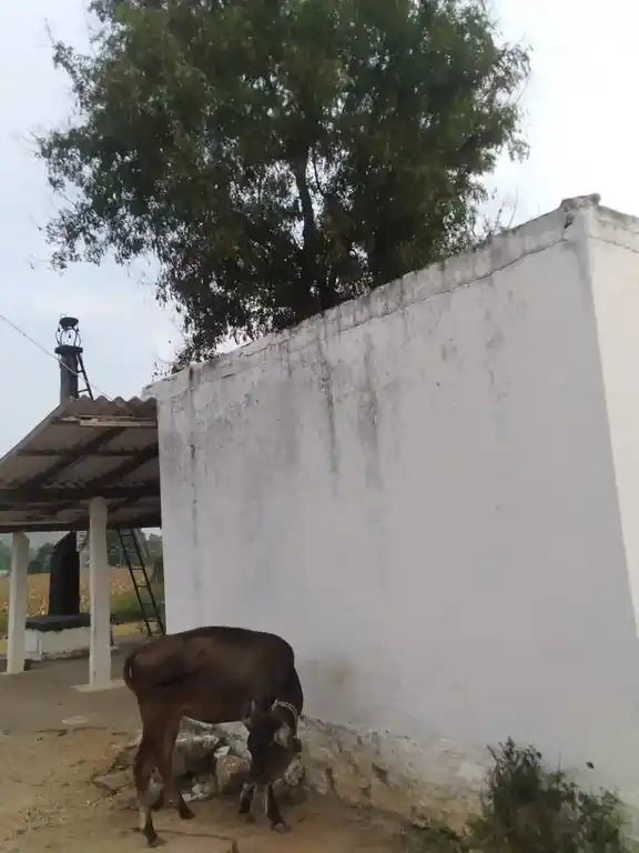 Arulmigu Varadharajaperumal Thirukovil, Nagiyampatti - 636113 அருள்மிகு வரதராஜ பெருமாள் திருக்கோயில், Nagiyampatti - 636113, Salem - Ancient Temple Architecture and History Image 4