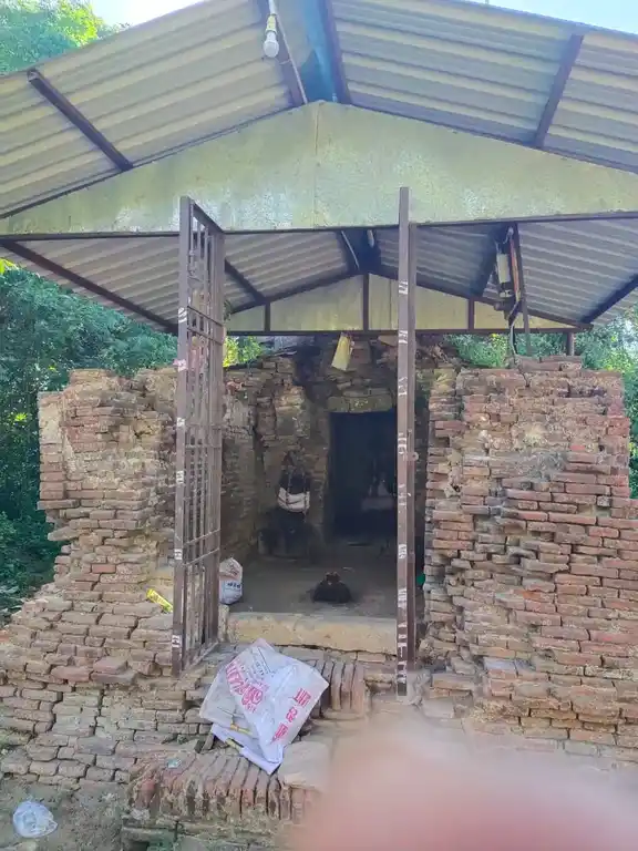 Arulmigu Varadharajaperumaltemple, Narayanamangalam - 609202 அருள்மிகு வரதராஜ பெருமாள் திருக்கோயில், நாராயணமங்கலம் - 609202, Mayiladuthurai - Ancient Temple Architecture and History Image 5