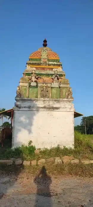 Arulmigu Varadharajapperumal Temple, Pilloor - 621313 அருள்மிகு வரதராஜப்பெருமாள் திருக்கோயில், Pilloor - 621313, Karur - Ancient Temple Architecture and History Image 11