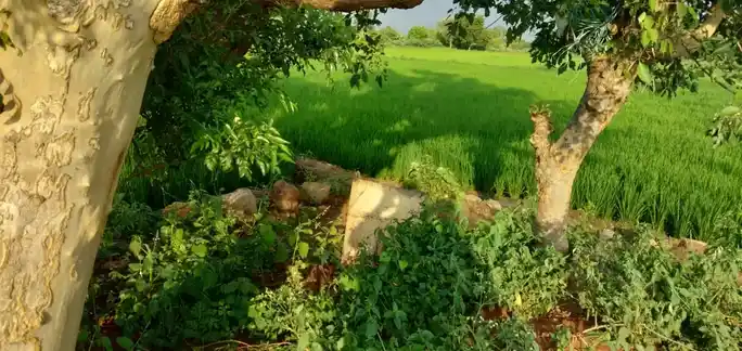 Arulmigu Varadharajapperumal Temple, Sinnarettipatty - 621313