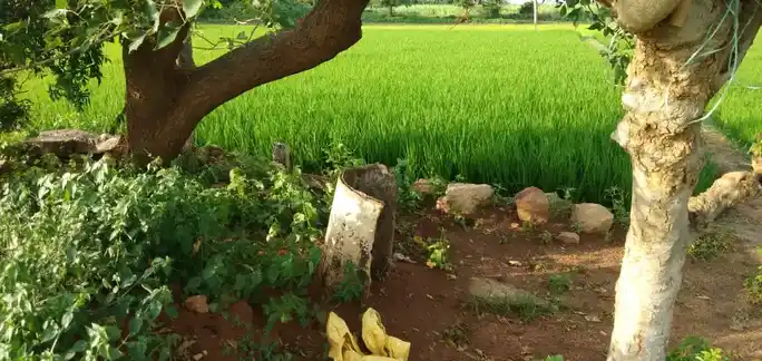 Arulmigu Varadharajapperumal Temple, Sinnarettipatty - 621313 அருள்மிகு வரதராஜப்பெருமாள் திருக்கோயில், Sinnarettipatty - 621313, Karur - Ancient Temple Architecture and History Image 3