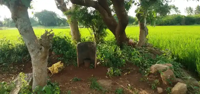 Arulmigu Varadharajapperumal Temple, Sinnarettipatty - 621313 அருள்மிகு வரதராஜப்பெருமாள் திருக்கோயில், Sinnarettipatty - 621313, Karur - Ancient Temple Architecture and History Image 4