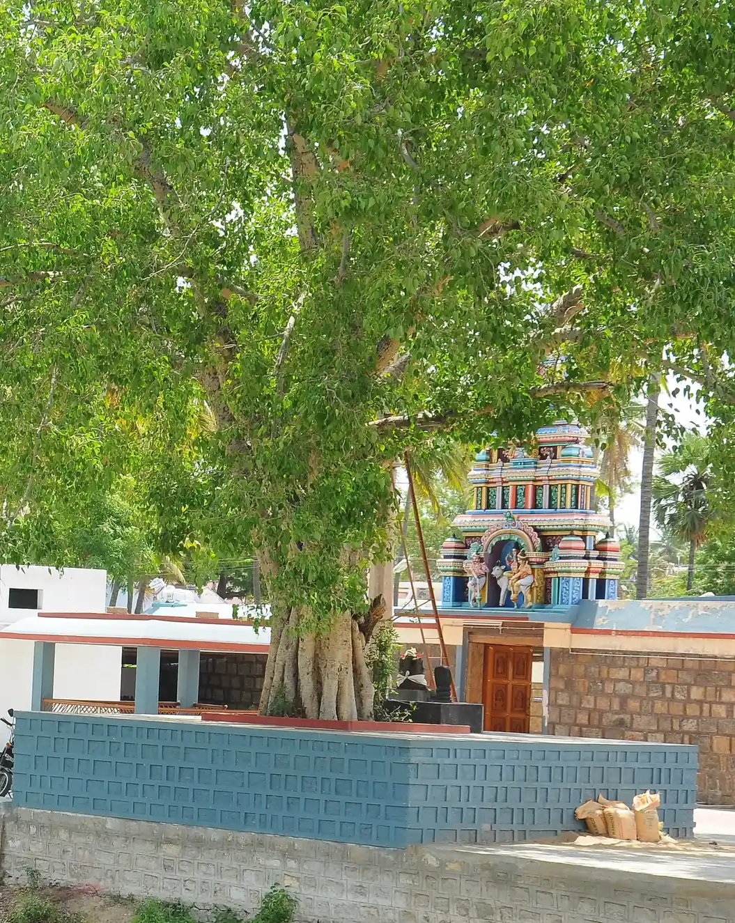 Arulmigu Varageeshwarar Vagayara Temple, Modakkurichi - 638101 Temple